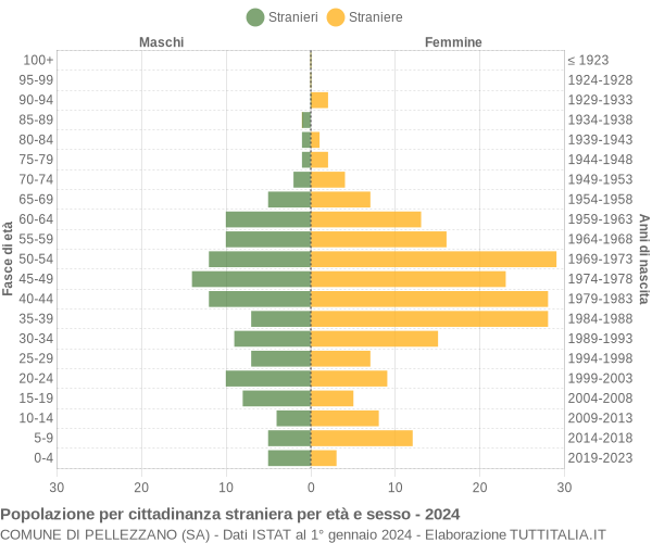 Grafico cittadini stranieri - Pellezzano 2024