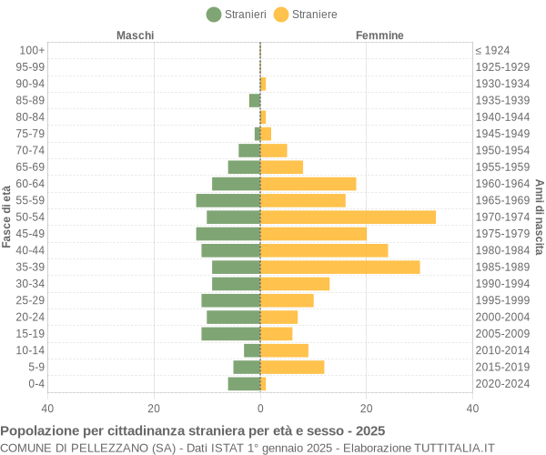 Grafico cittadini stranieri - Pellezzano 2025