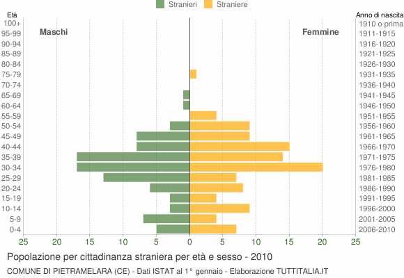 Grafico cittadini stranieri - Pietramelara 2010