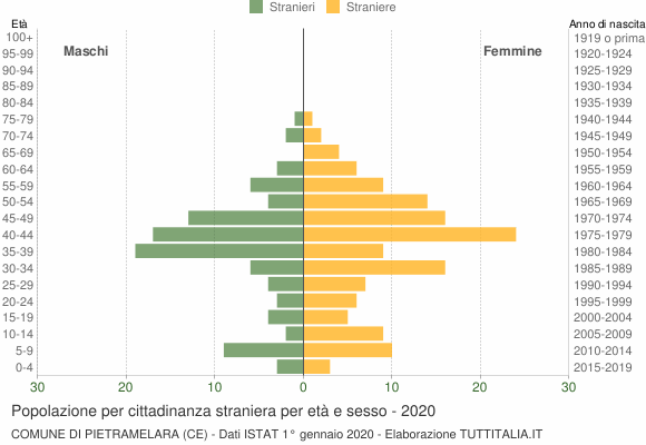 Grafico cittadini stranieri - Pietramelara 2020