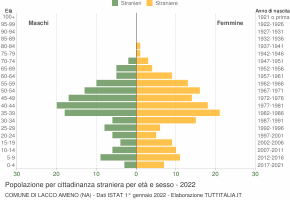 Grafico cittadini stranieri - Lacco Ameno 2022