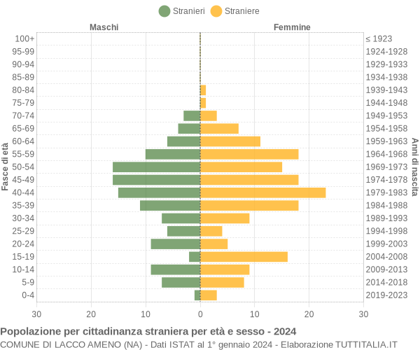 Grafico cittadini stranieri - Lacco Ameno 2024