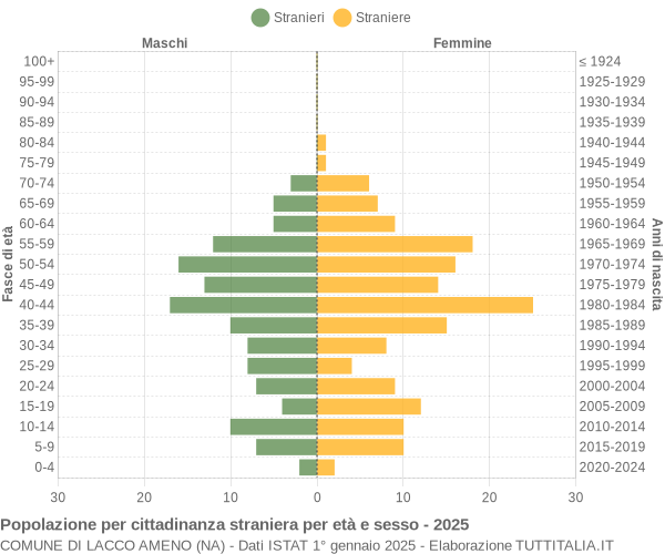 Grafico cittadini stranieri - Lacco Ameno 2025