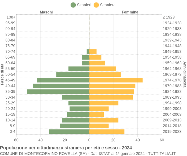 Grafico cittadini stranieri - Montecorvino Rovella 2024