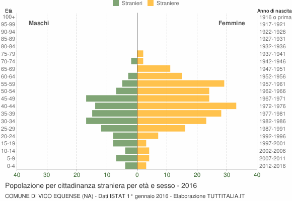 Grafico cittadini stranieri - Vico Equense 2016