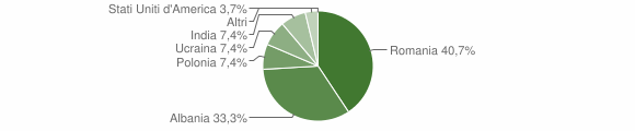 Grafico cittadinanza stranieri - Caggiano 2009