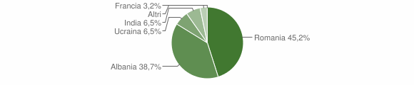 Grafico cittadinanza stranieri - Caggiano 2012
