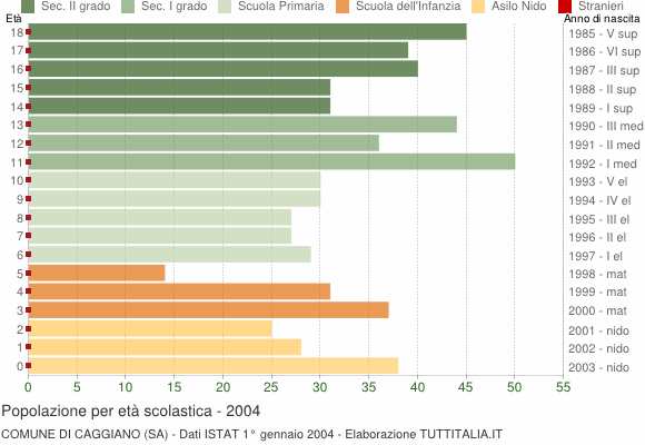 Grafico Popolazione in età scolastica - Caggiano 2004