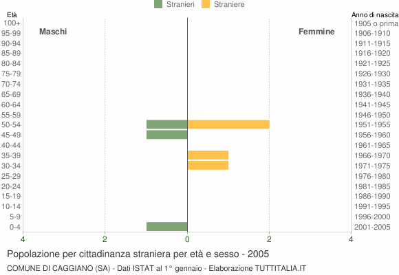 Grafico cittadini stranieri - Caggiano 2005