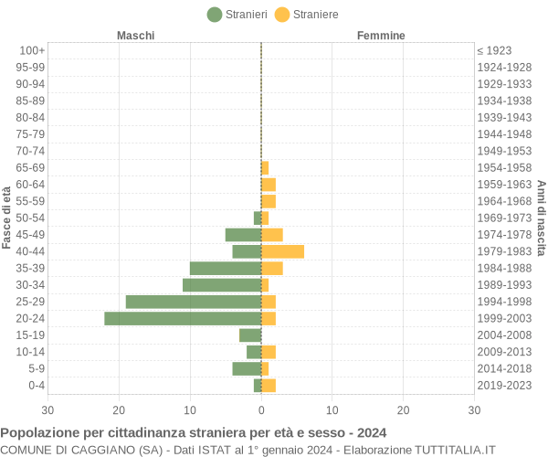 Grafico cittadini stranieri - Caggiano 2024