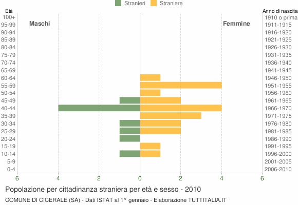 Grafico cittadini stranieri - Cicerale 2010