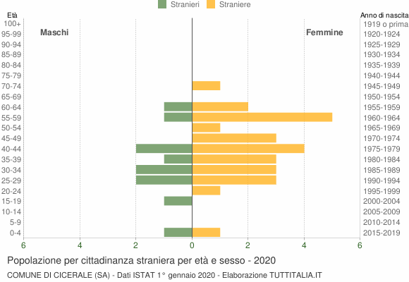 Grafico cittadini stranieri - Cicerale 2020