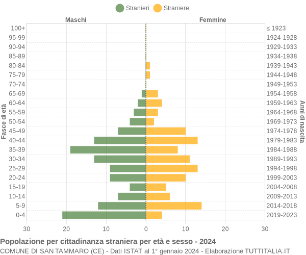 Grafico cittadini stranieri - San Tammaro 2024