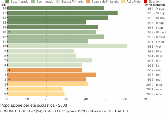 Grafico Popolazione in età scolastica - Colliano 2003
