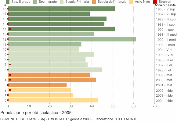 Grafico Popolazione in età scolastica - Colliano 2005