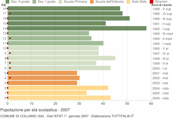 Grafico Popolazione in età scolastica - Colliano 2007
