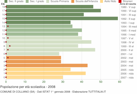 Grafico Popolazione in età scolastica - Colliano 2008