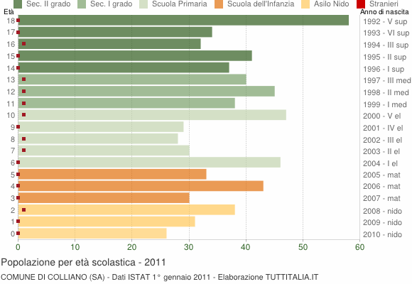 Grafico Popolazione in età scolastica - Colliano 2011