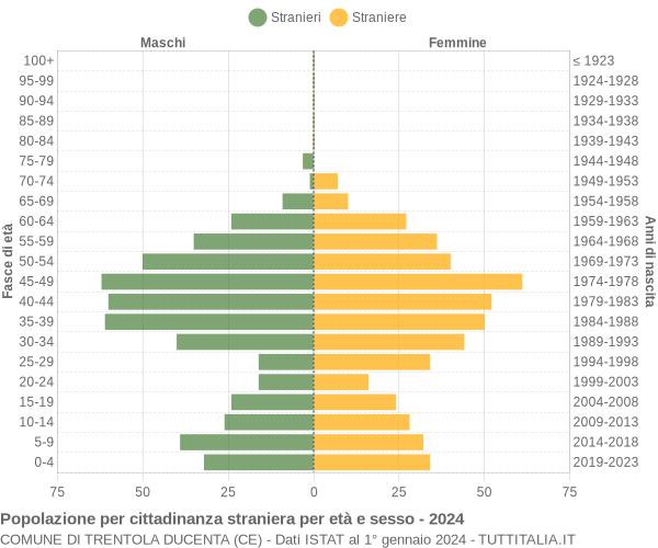 Grafico cittadini stranieri - Trentola Ducenta 2024