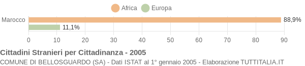 Grafico cittadinanza stranieri - Bellosguardo 2005