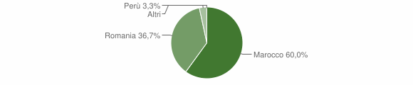 Grafico cittadinanza stranieri - Bellosguardo 2009