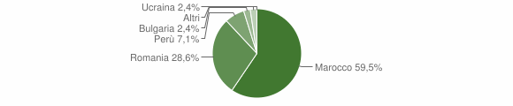 Grafico cittadinanza stranieri - Bellosguardo 2010