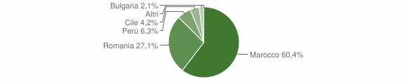 Grafico cittadinanza stranieri - Bellosguardo 2011