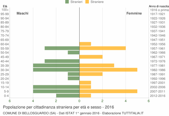 Grafico cittadini stranieri - Bellosguardo 2016