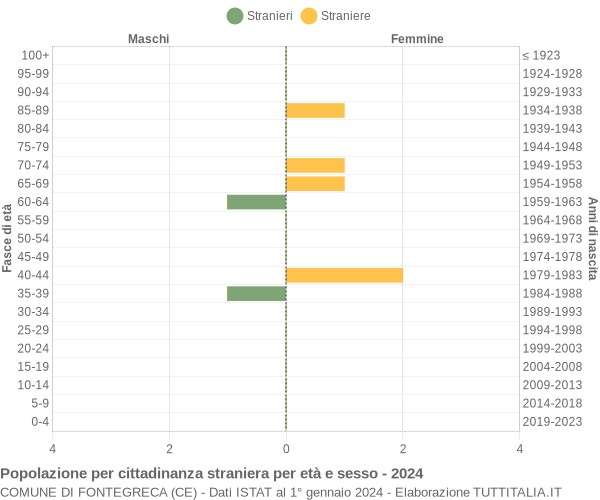 Grafico cittadini stranieri - Fontegreca 2024