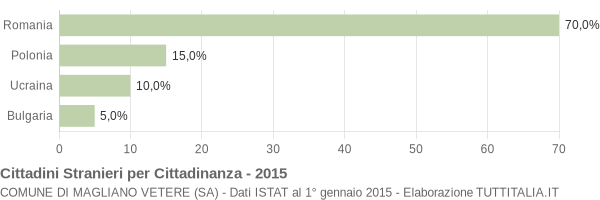 Grafico cittadinanza stranieri - Magliano Vetere 2015