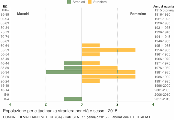 Grafico cittadini stranieri - Magliano Vetere 2015