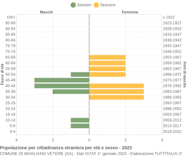 Grafico cittadini stranieri - Magliano Vetere 2023