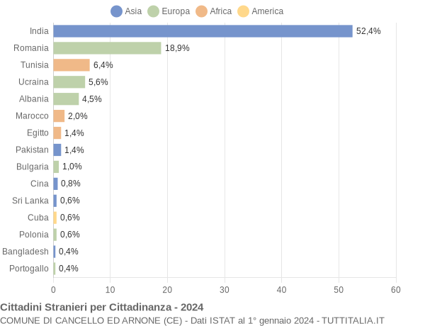 Grafico cittadinanza stranieri - Cancello ed Arnone 2024