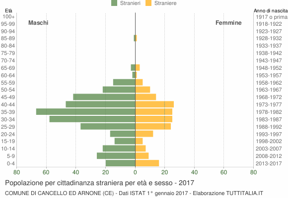 Grafico cittadini stranieri - Cancello ed Arnone 2017