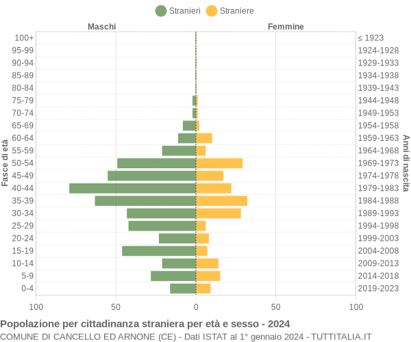 Grafico cittadini stranieri - Cancello ed Arnone 2024