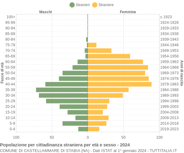 Grafico cittadini stranieri - Castellammare di Stabia 2024