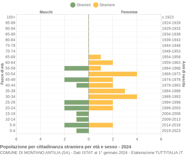 Grafico cittadini stranieri - Montano Antilia 2024