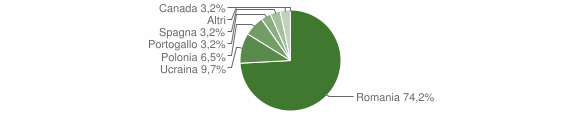Grafico cittadinanza stranieri - Novi Velia 2011