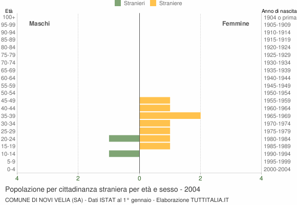 Grafico cittadini stranieri - Novi Velia 2004
