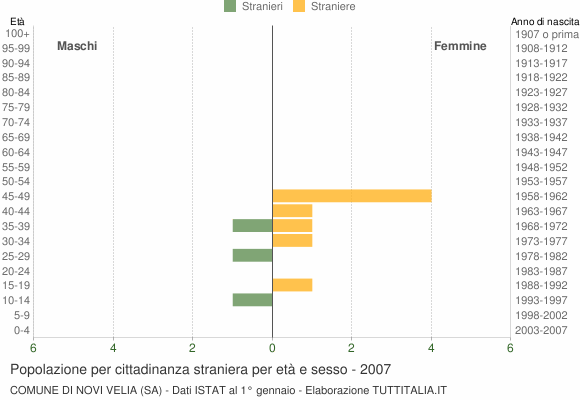 Grafico cittadini stranieri - Novi Velia 2007