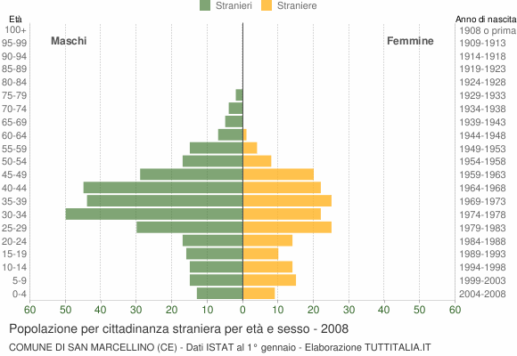 Grafico cittadini stranieri - San Marcellino 2008