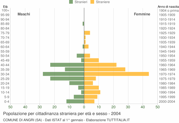 Grafico cittadini stranieri - Angri 2004