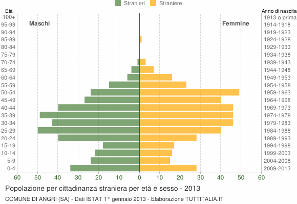 Grafico cittadini stranieri - Angri 2013