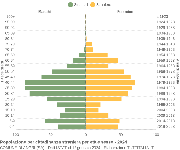 Grafico cittadini stranieri - Angri 2024