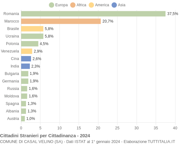 Grafico cittadinanza stranieri - Casal Velino 2024