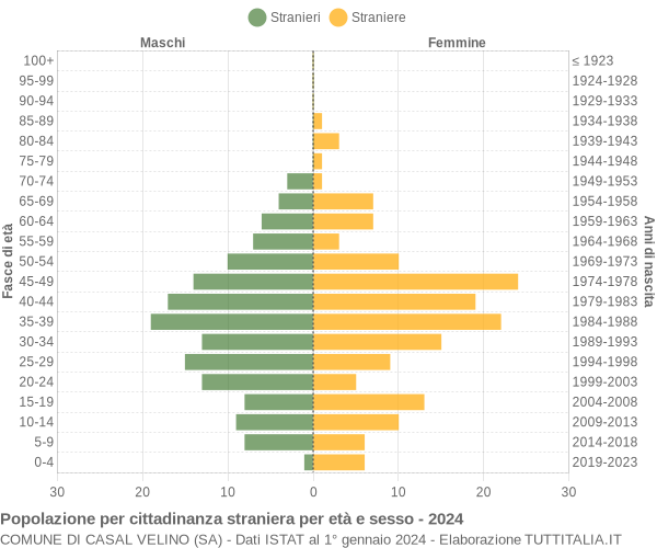 Grafico cittadini stranieri - Casal Velino 2024