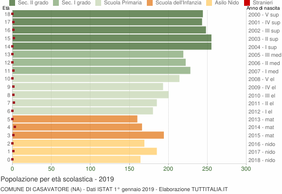 Grafico Popolazione in età scolastica - Casavatore 2019