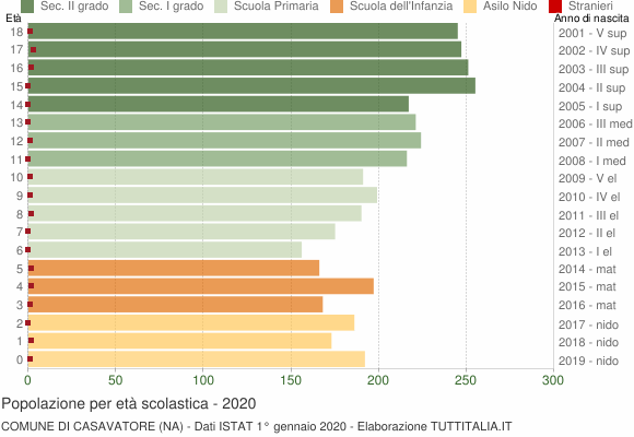 Grafico Popolazione in età scolastica - Casavatore 2020