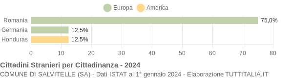 Grafico cittadinanza stranieri - Salvitelle 2024