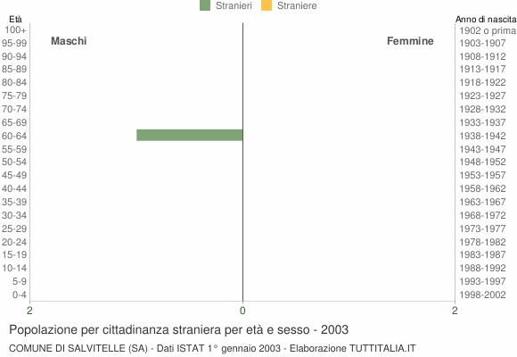 Grafico cittadini stranieri - Salvitelle 2003